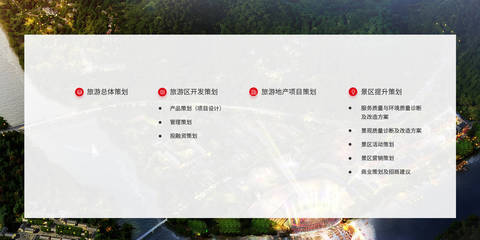 业务范围