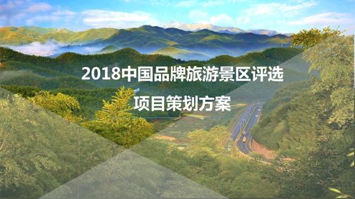 项目策划方案